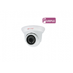 SECURUS 2.4MP, 15MTS INDOOR HD-TVI PLASTIC DOME CAMERA