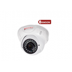 SECURUS 2.0MP, IP AI 50MTS INDOOR DOME CAMERA